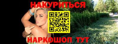 скорость Кингисепп