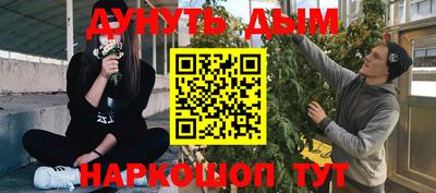 скорость Кингисепп